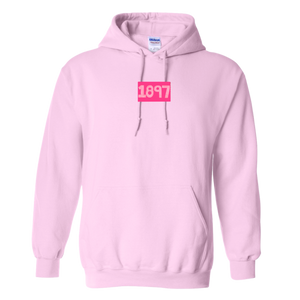 ALPHA O- Pink Matchbox Sorority Hooded Sweatshirt