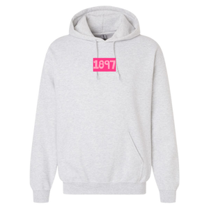 ALPHA O- Pink Matchbox Sorority Hooded Sweatshirt