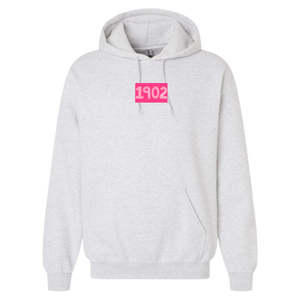 DZ- Pink Matchbox Sorority Hooded Sweatshirt