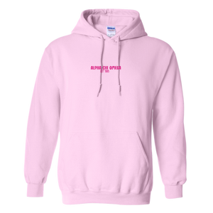 AXO- Pink Smile Back Sorority Hooded Sweatshirt